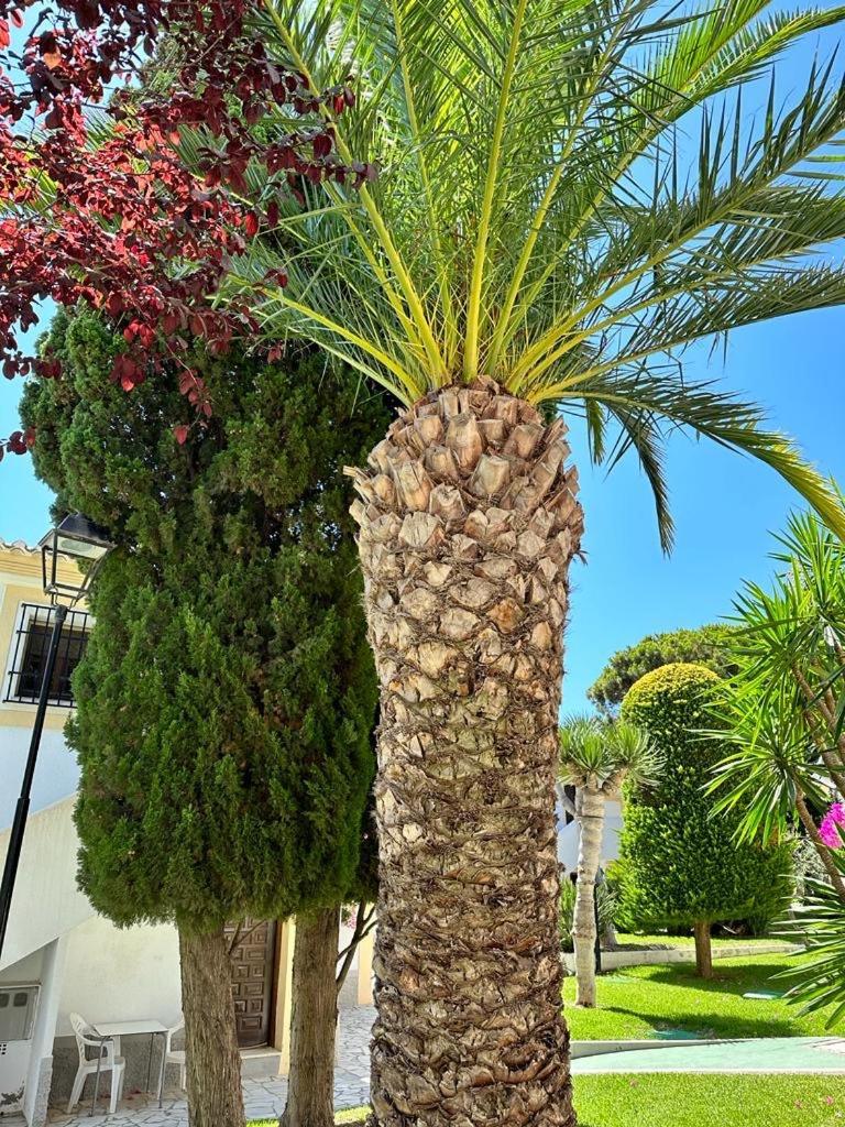 Casa De Emilia Vera Coast Playas de Vera Eksteriør bilde